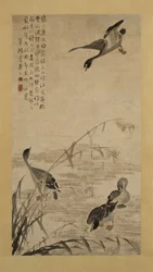 Gänse, die auf einer Sandbank landen